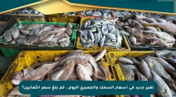 تغير جديد في أسعار السمك والجمبري اليوم.. كم بلغ سعر الثعابين؟